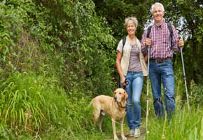 hond wandelingen